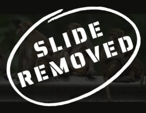 Graphic that has a blotted slide of a bunch of monkeys and "Slide Removed" text over it.