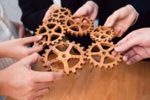 Hands holding wooden gears intertwined to illustrate What's The Difference Between Web Design and Web Development